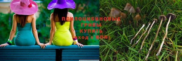 молекула духа Алзамай