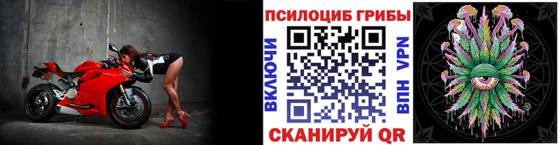 Купить  Волжск  Галлюциногенные грибы мухоморы 