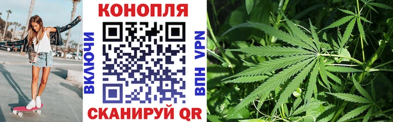 Купить где  Волжск  МАРИХУАНА ГИДРОПОН 